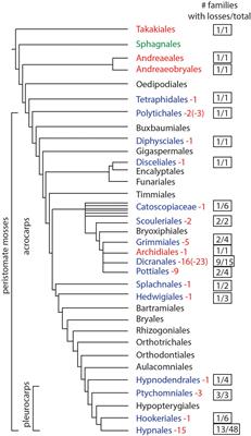 With Over 60 Independent Losses, Stomata Are Expendable in Mosses